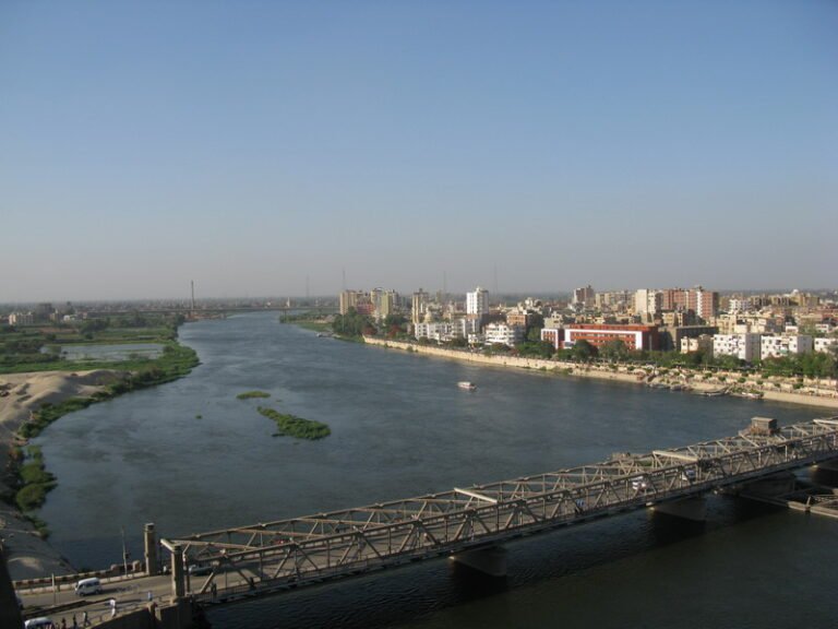 ساندوتشات بلدي .. بقلم: جمال عمر