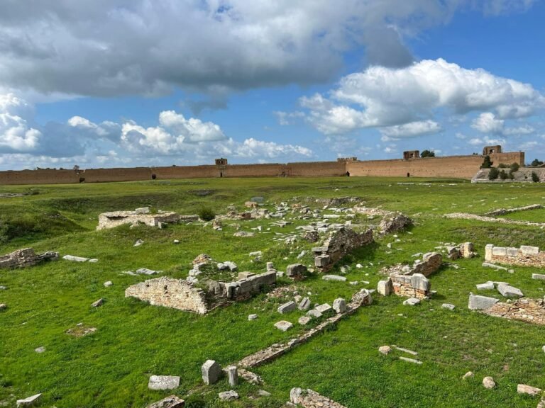 ما تبقى من لوتشيرا الإسلامية ولقاء المصري چورچ فريد .. بقلم: محمد التداوي